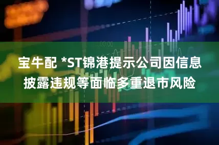 宝牛配 *ST锦港提示公司因信息披露违规等面临多重退市风险