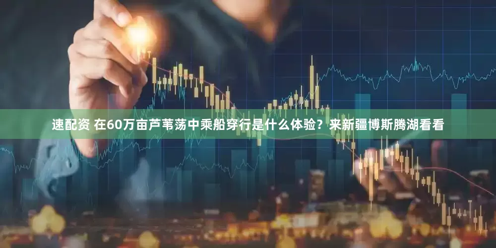 速配资 在60万亩芦苇荡中乘船穿行是什么体验？来新疆博斯腾湖看看