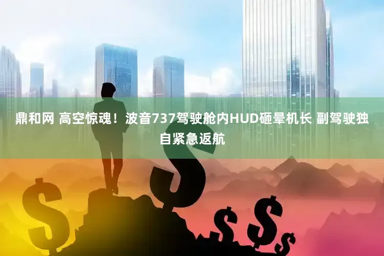 鼎和网 高空惊魂！波音737驾驶舱内HUD砸晕机长 副驾驶独自紧急返航